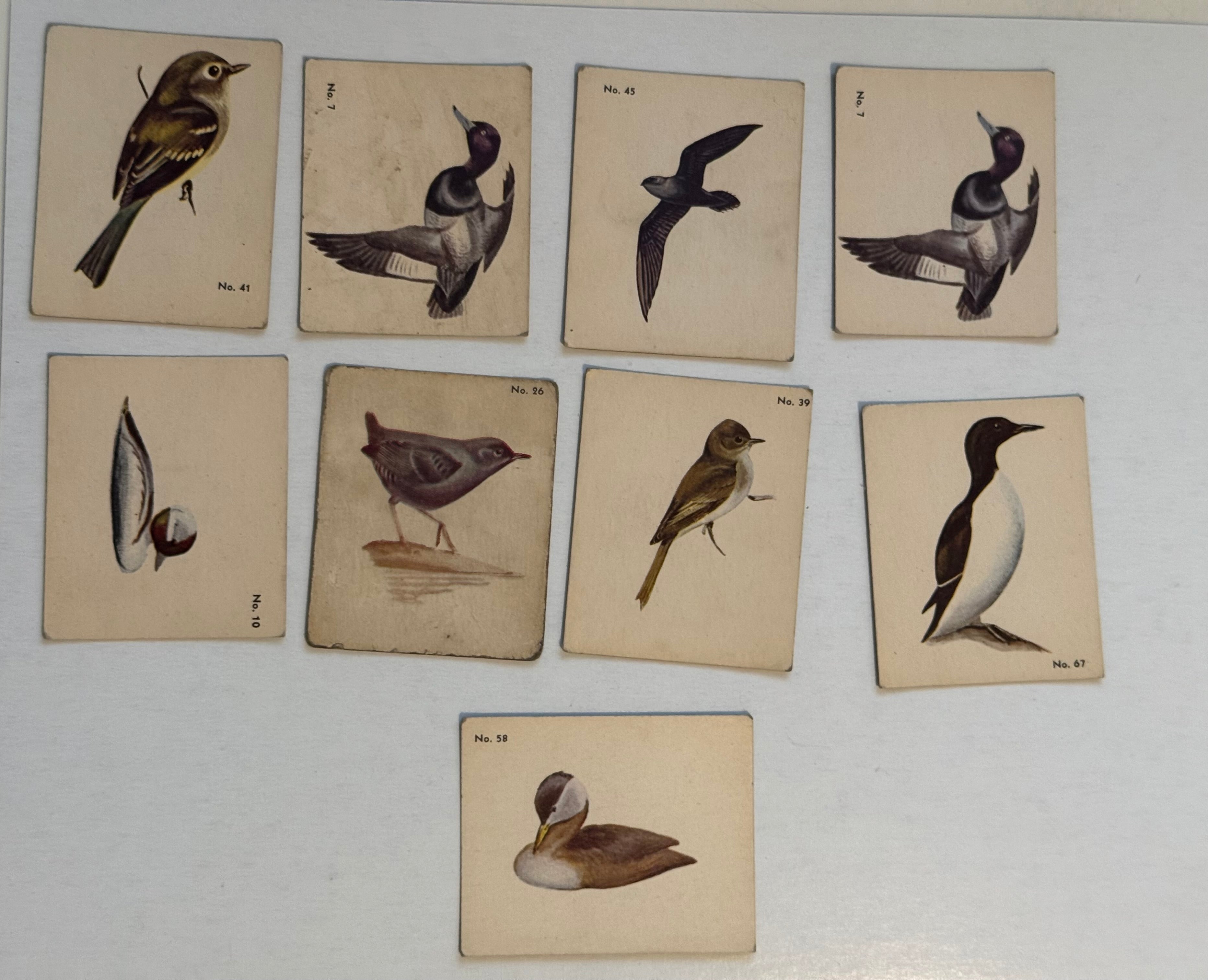 Parkhurst vintage birds 9 cards lot deal 1952