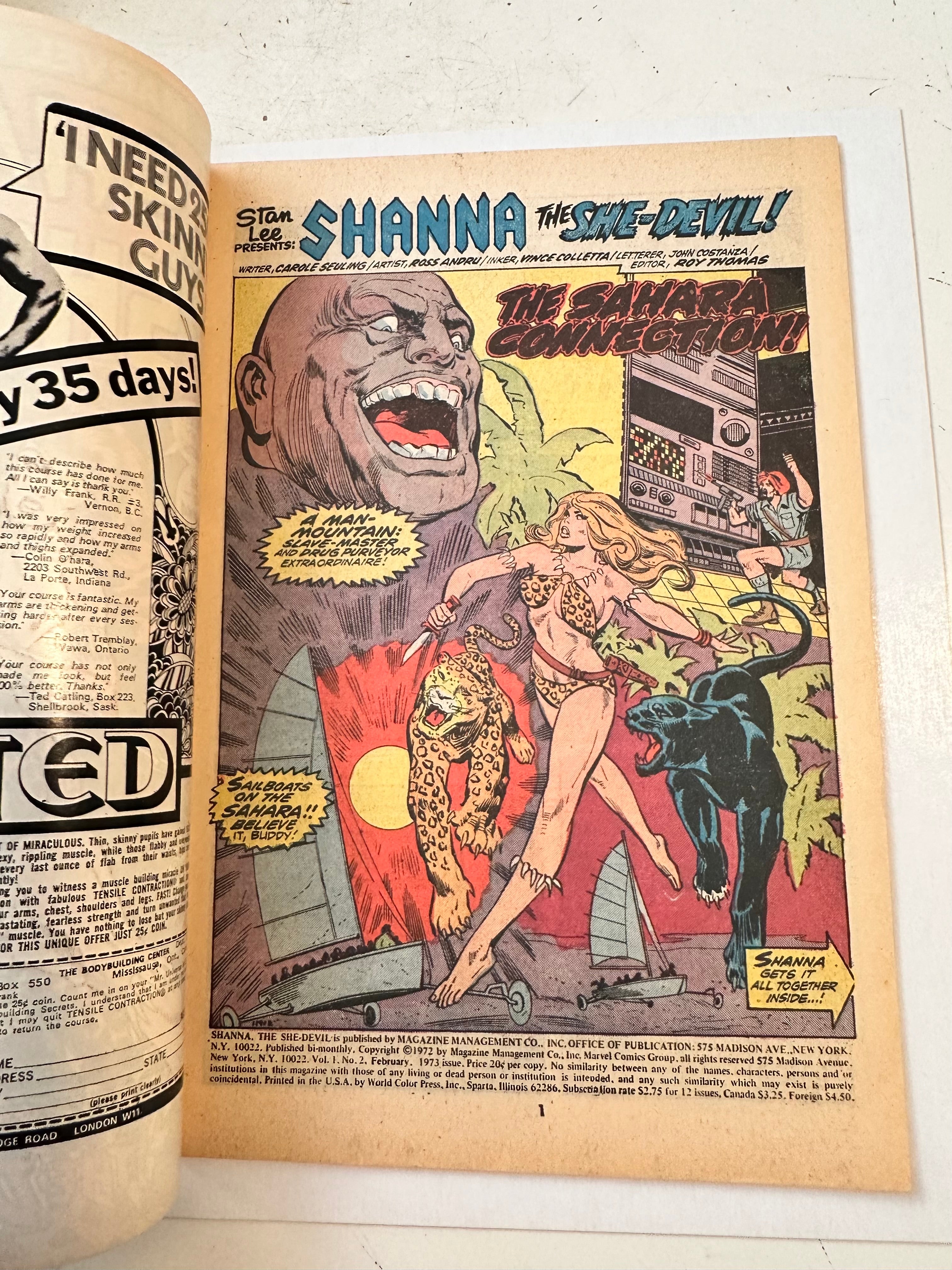 Shana the she-devil #2 great condition vintage comic book 1972