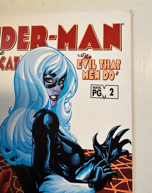 Spider-Man and black cat the evil that men do number two comic book2002