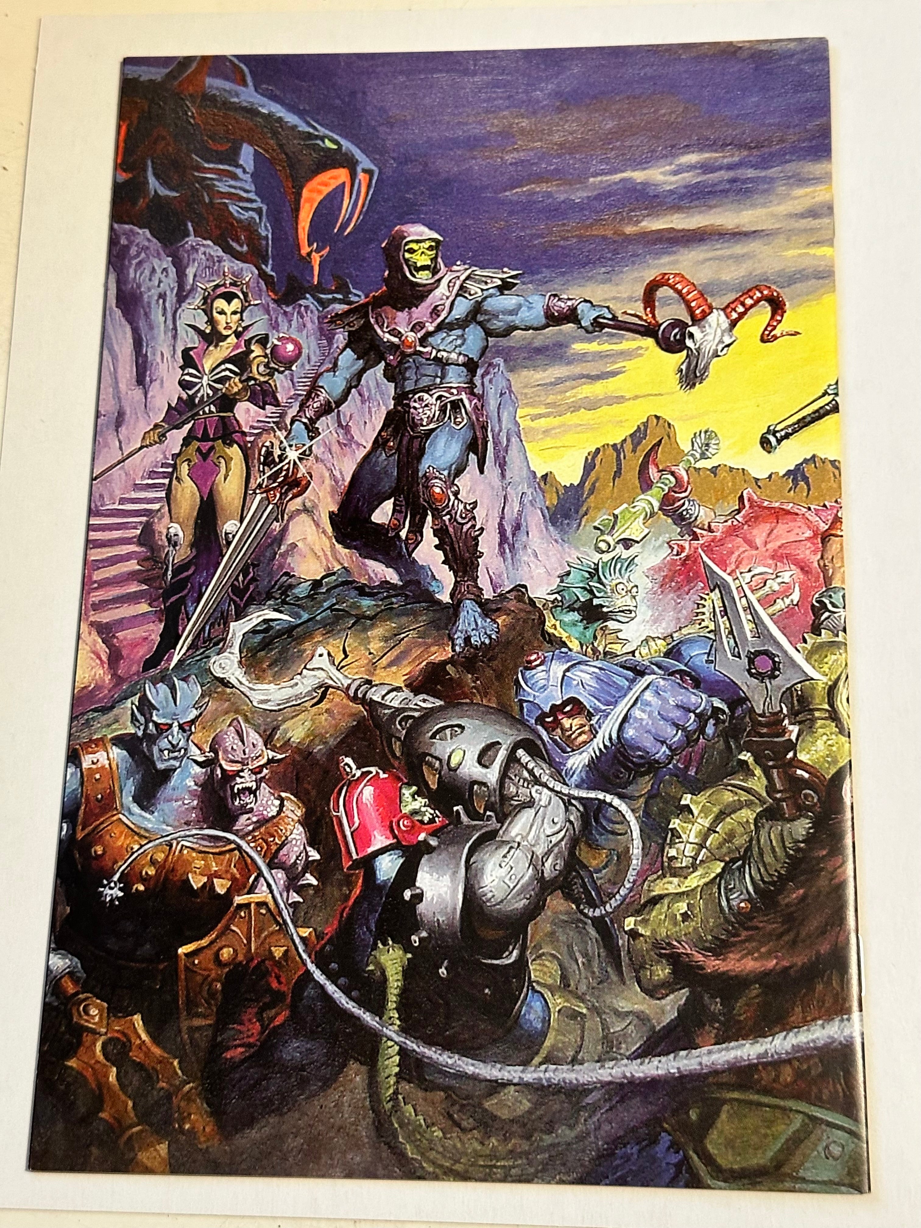 Masters Of The Universe 1 High Grade Condition Comic Book Masters Of The Universe 1 High Grade Condition Comic Book