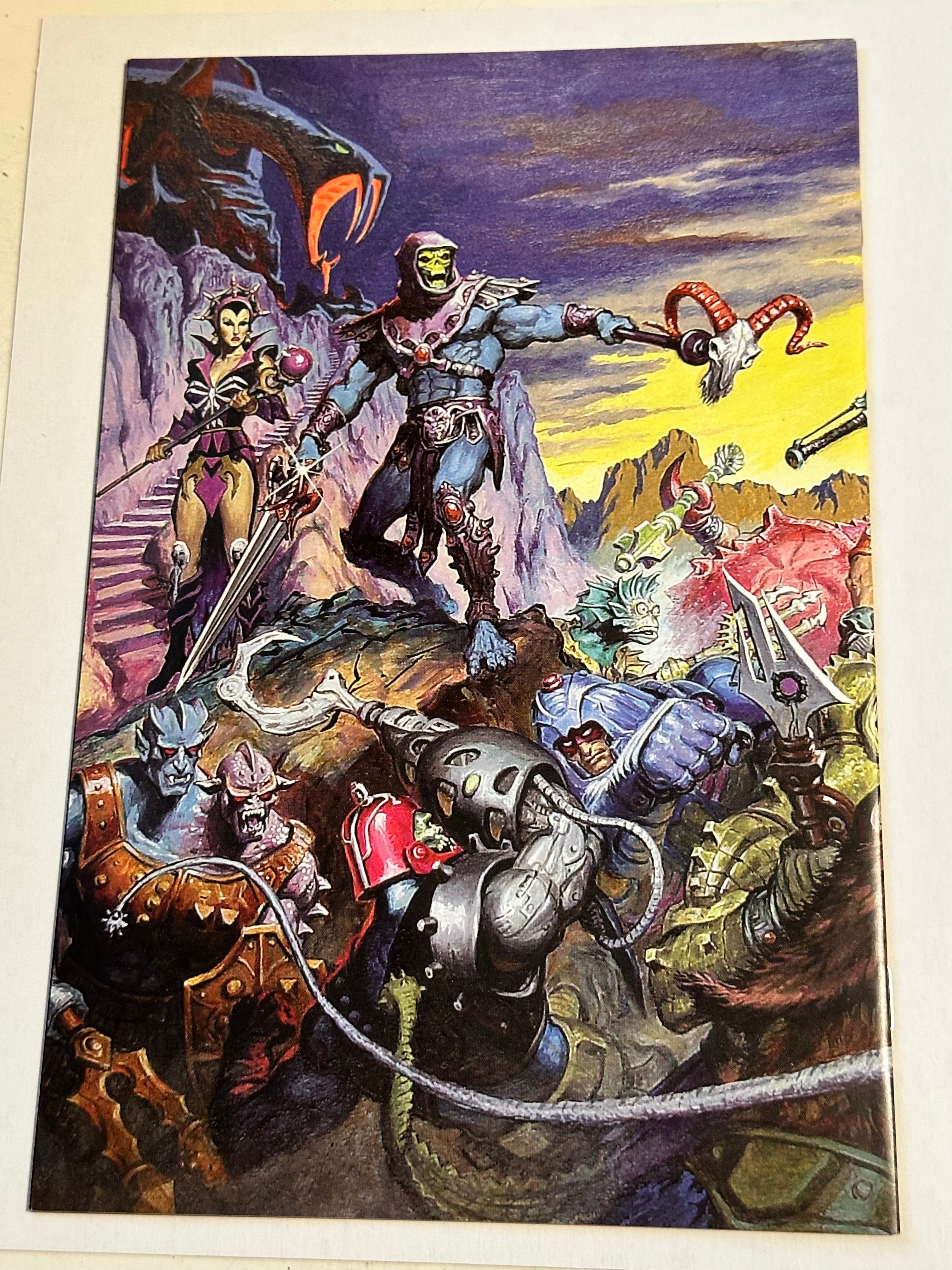 Masters of the Universe #1 high grade condition comic book
