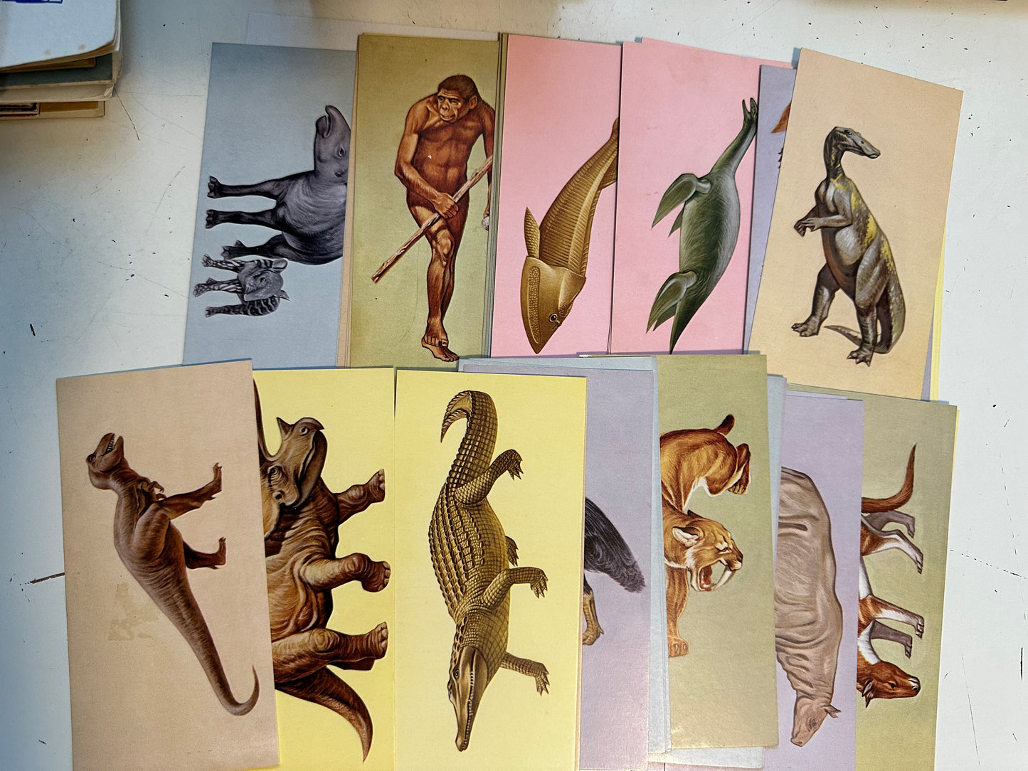 Dinosaurs rare great condition cards set 1952