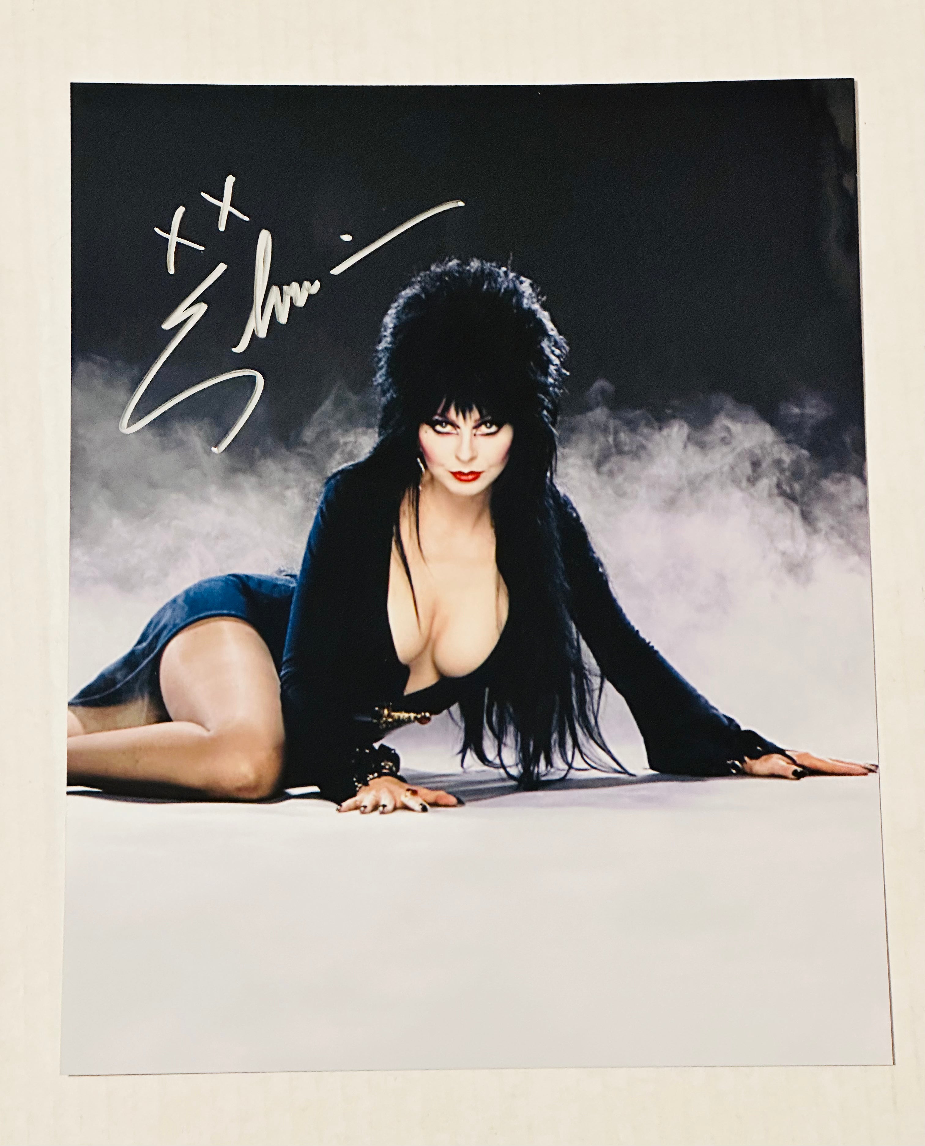 Elvira Mistress of the Dark rare signed in person 8x10 autograph photo certified by Fanexpo