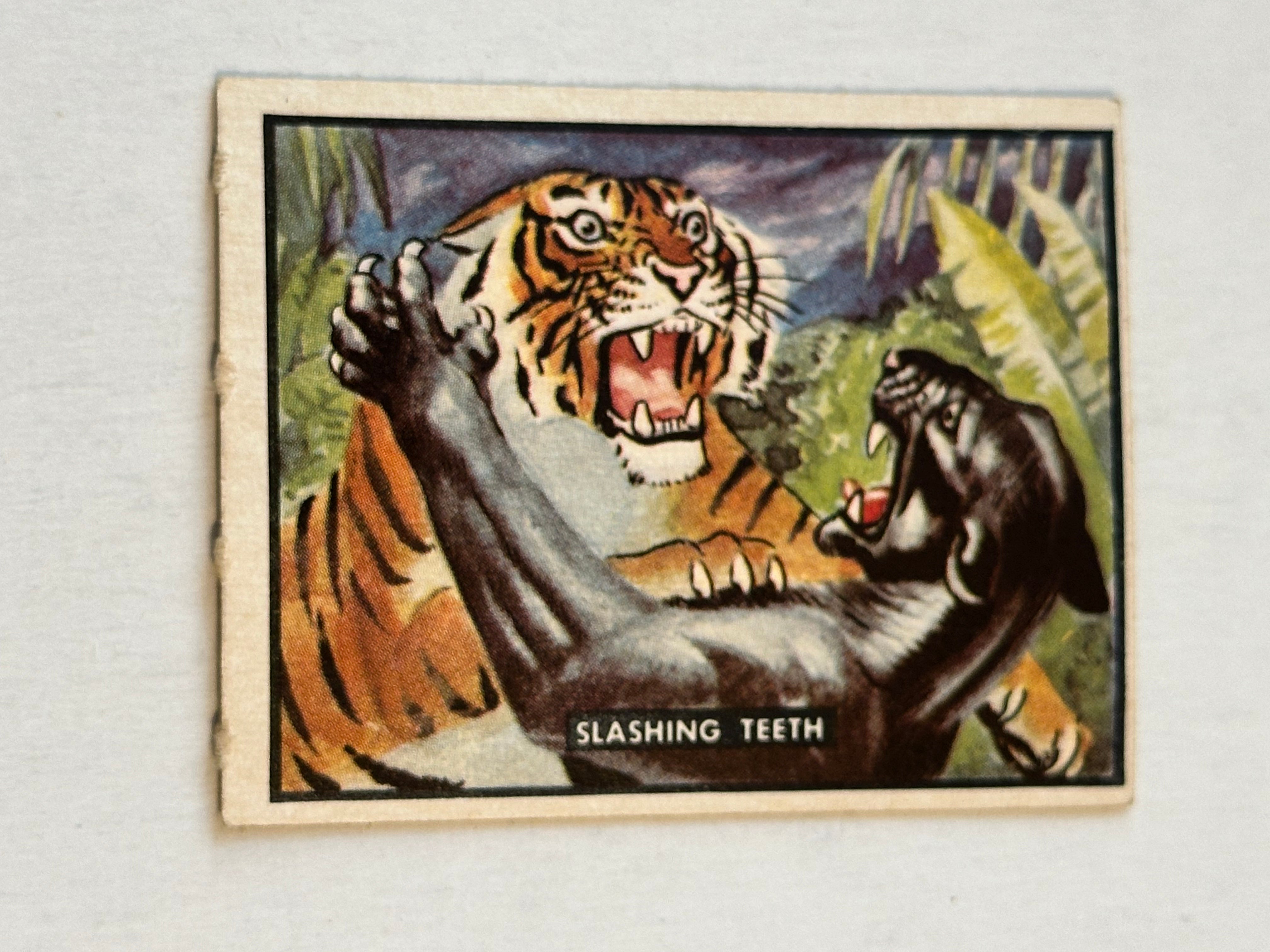 Bring Em Back Alive Slashing Teeth high grade condition Topps card 1950
